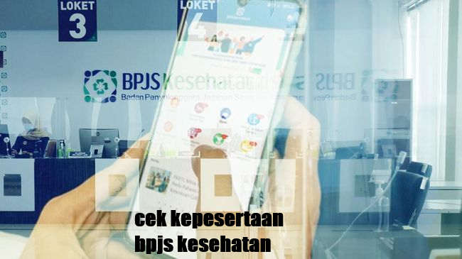 cek kepesertaan bpjs kesehatan