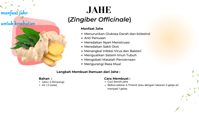 manfaat jahe untuk kesehatan