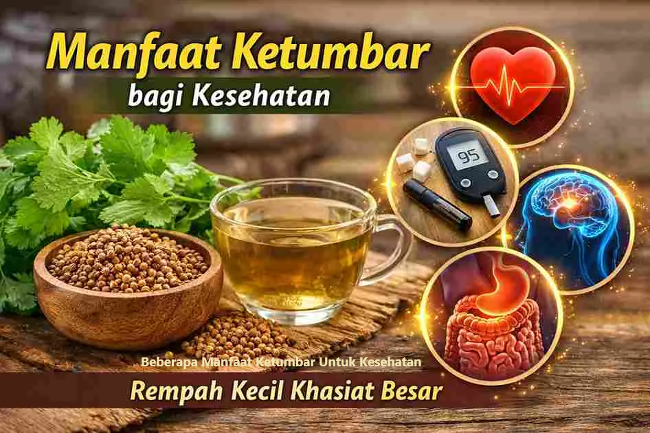 manfaat ketumbar untuk kesehatan