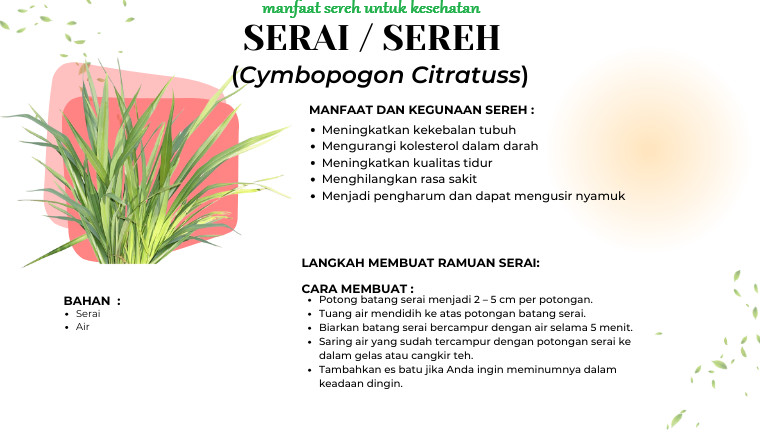 manfaat sereh untuk kesehatan