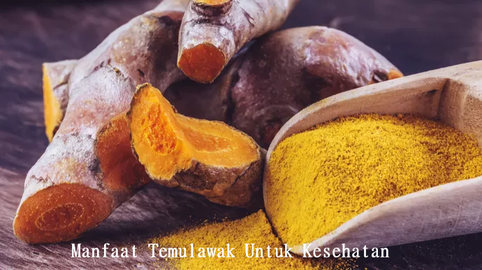 manfaat temulawak untuk kesehatan